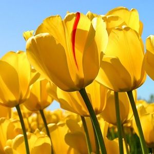 Meet your Posher, Latonia